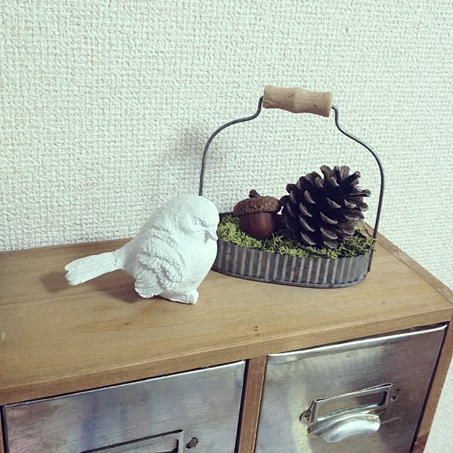 akiさんの実例写真