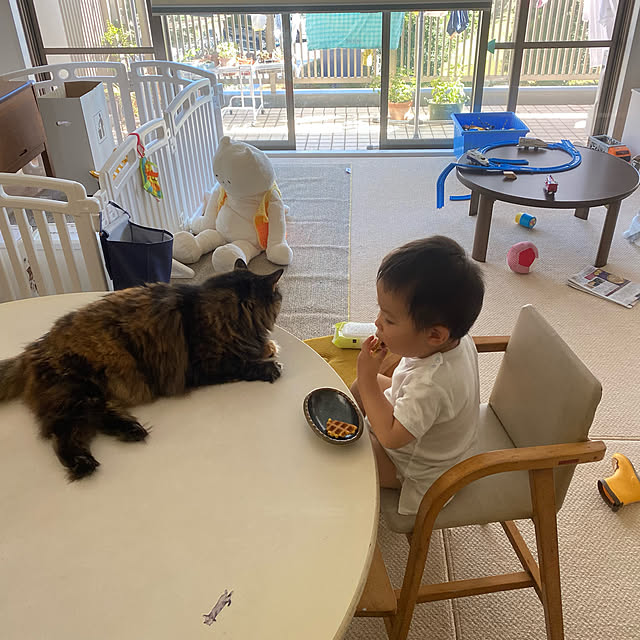 mikomaruさんの実例写真