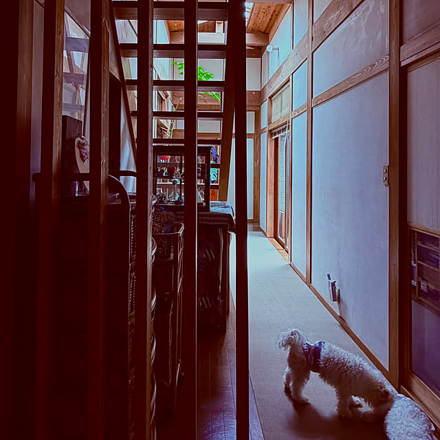 chacoさんの部屋