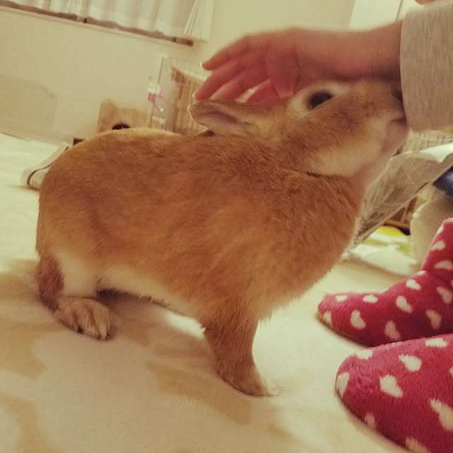 k-ai323さんの実例写真