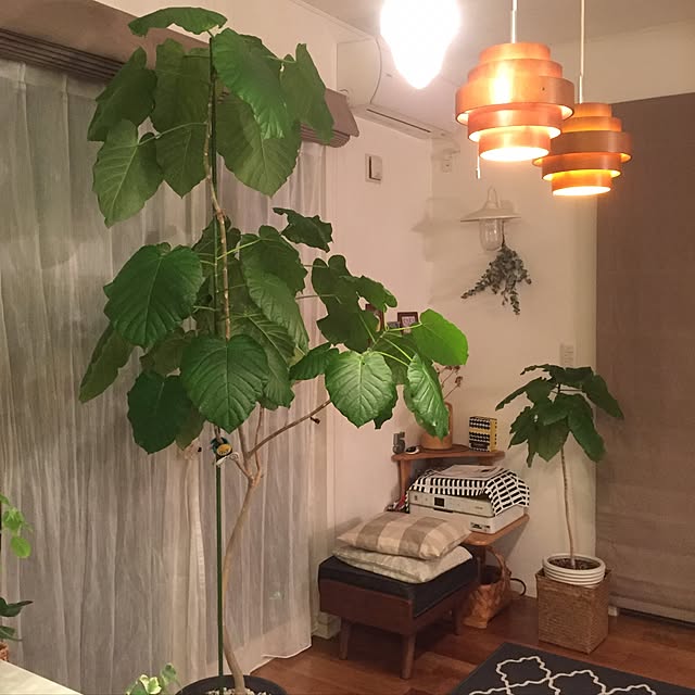 mimosaさんの実例写真
