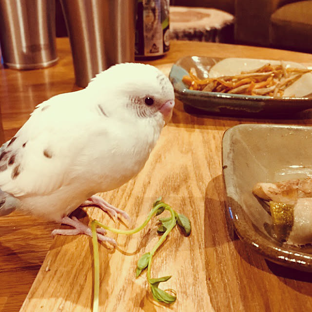 tukuneさんの実例写真