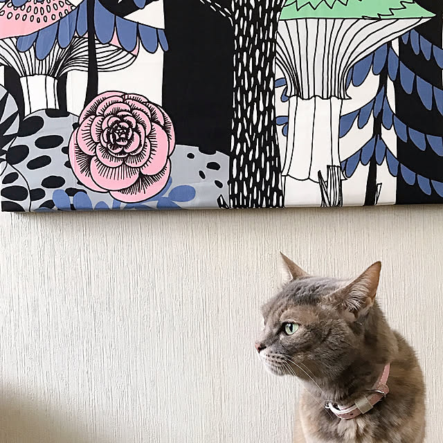 nyanko-beamさんの実例写真