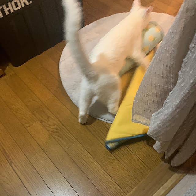 keiさんの実例写真