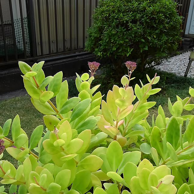 Renさんの実例写真