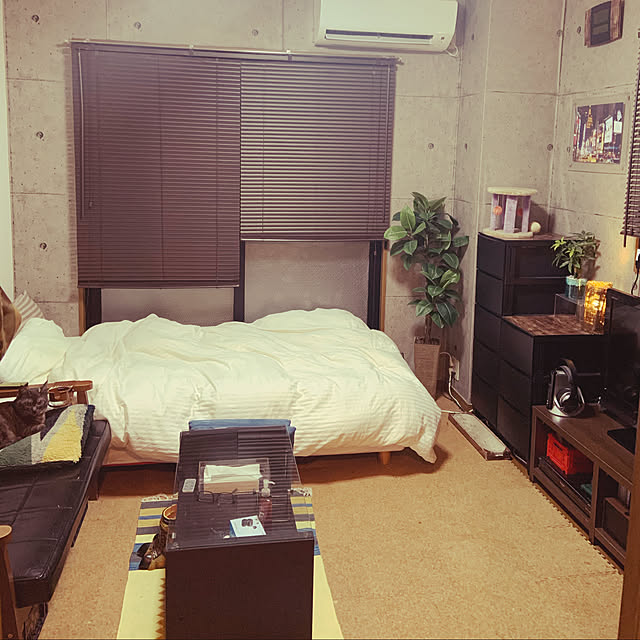 部屋全体のインテリア実例 - 2020-03-15 00:13:07
