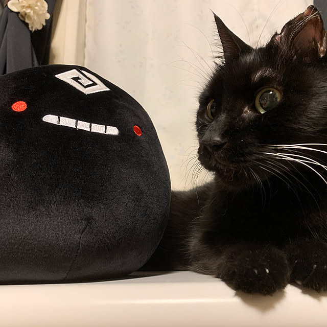 zinさんの実例写真