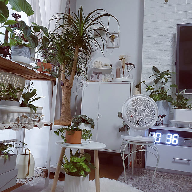 cocoaさんの実例写真