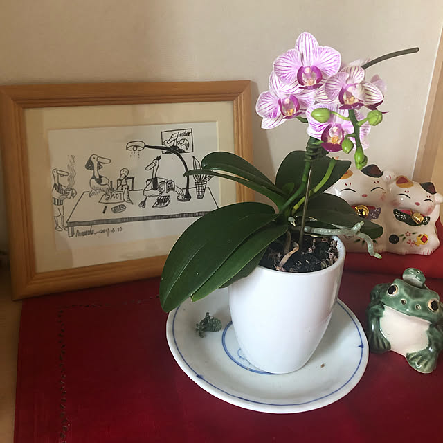 xiaohuai7788さんの実例写真