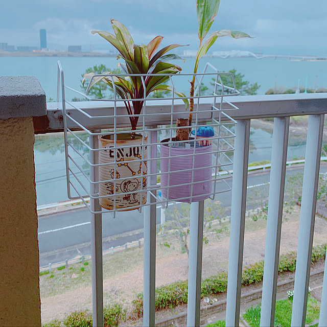 totoさんの実例写真