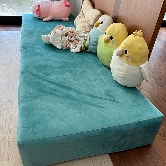 chappさんの実例写真