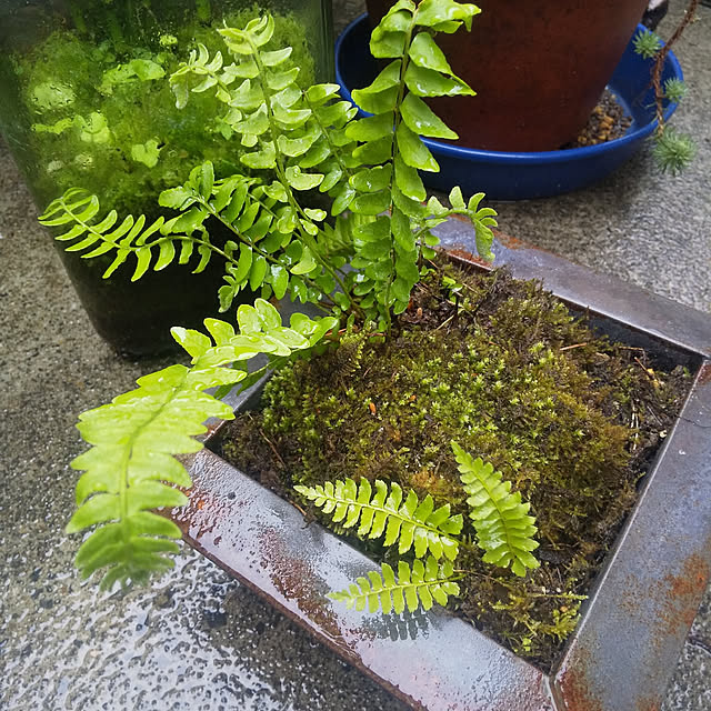 microさんの実例写真