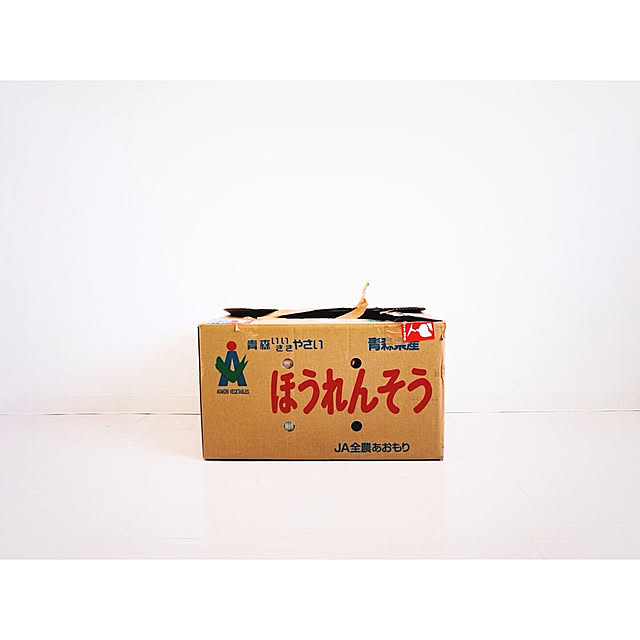 negiさんの実例写真