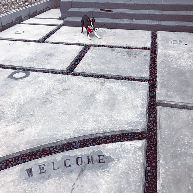Megugu0512さんの実例写真