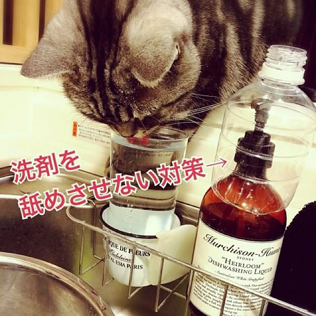 mikomaruさんの実例写真