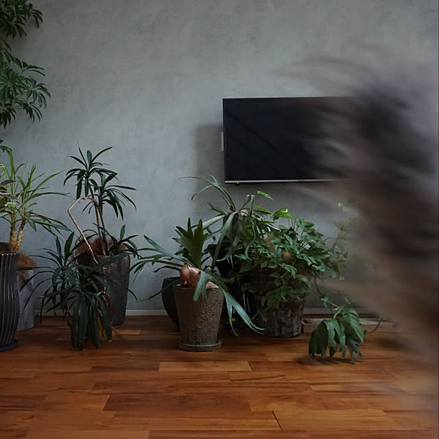 manew714さんの実例写真