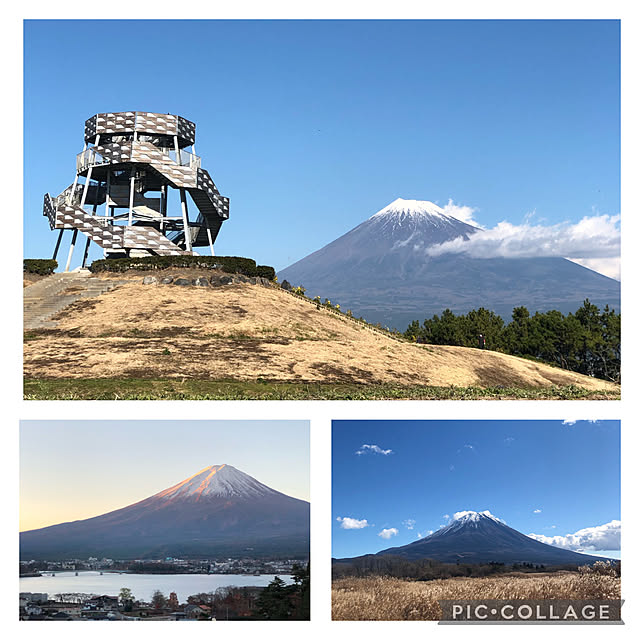 実例写真