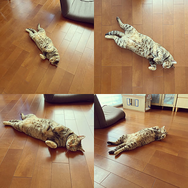 hansho.sさんの実例写真
