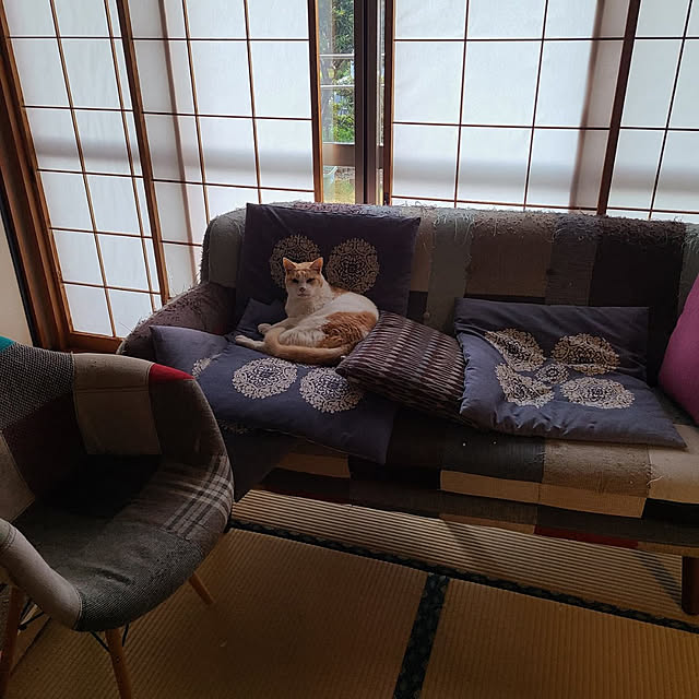 fuchan0930さんの実例写真