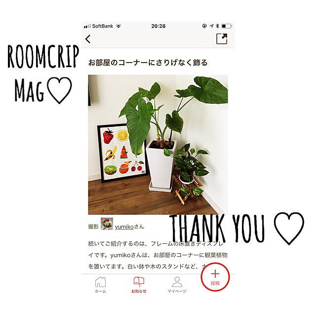 yumikoさんの実例写真