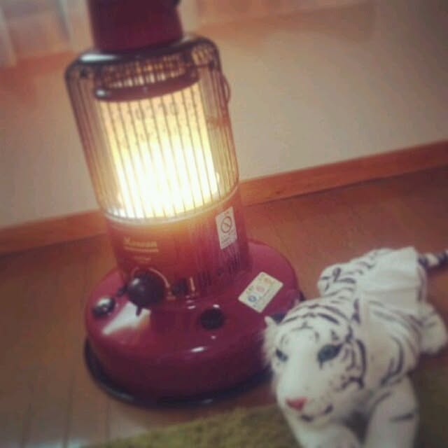 ernさんの実例写真