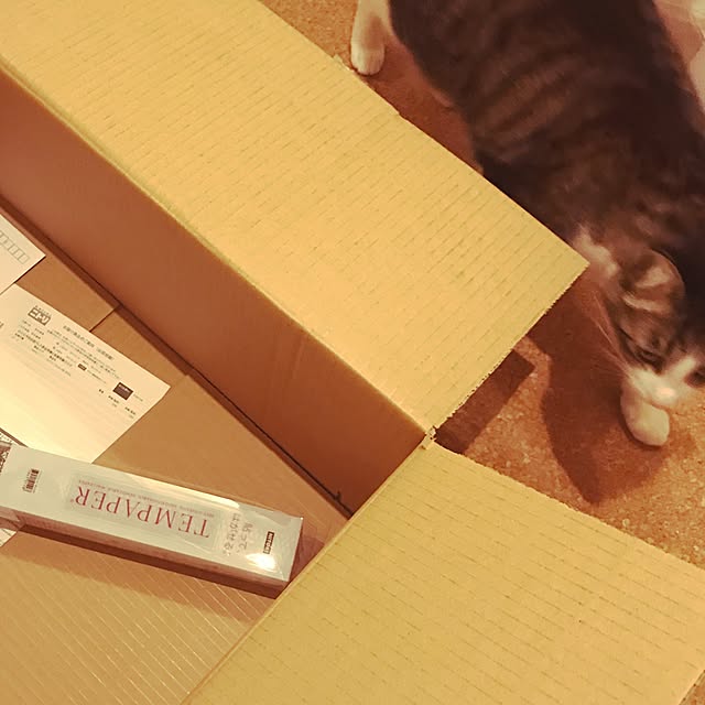 miruさんの実例写真