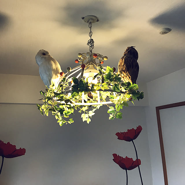tacaco01180919さんの実例写真