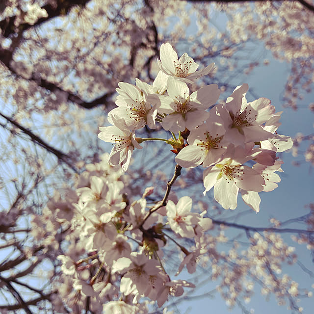 keiさんの実例写真