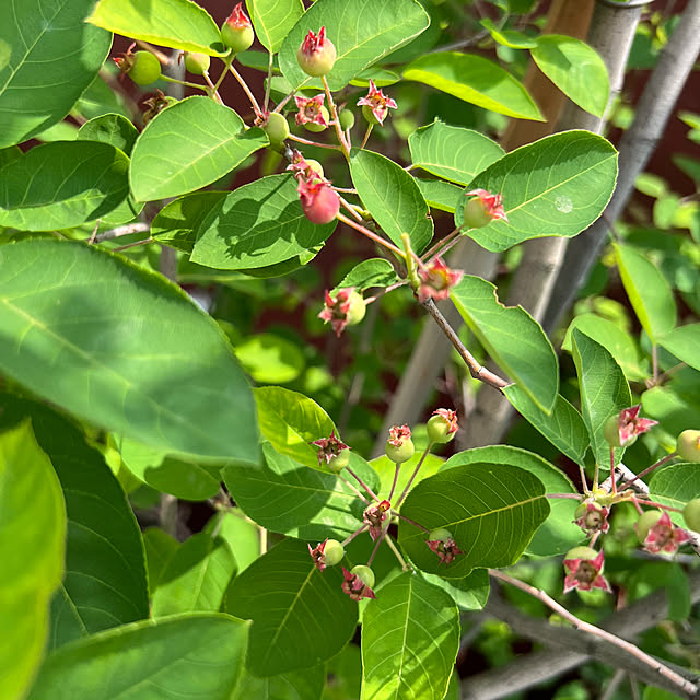AYUKOさんの実例写真