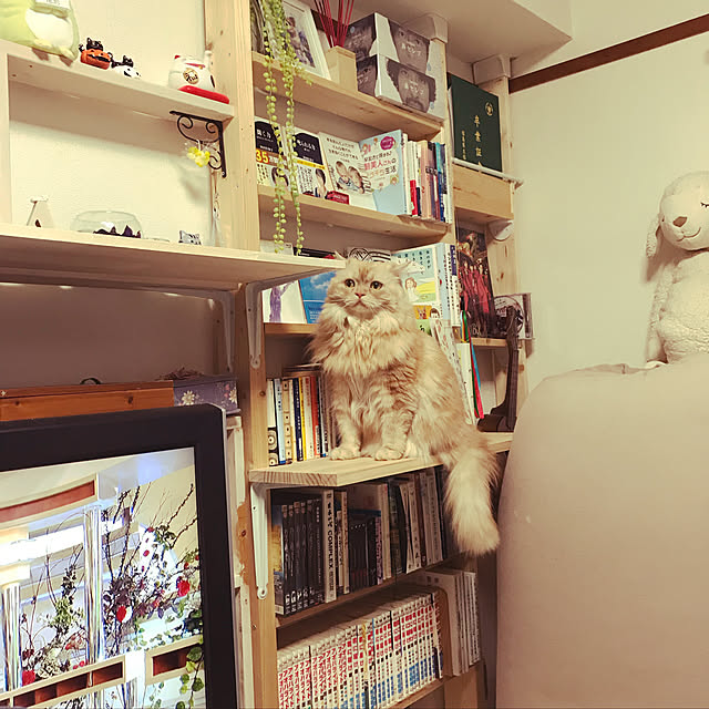 roseさんの実例写真
