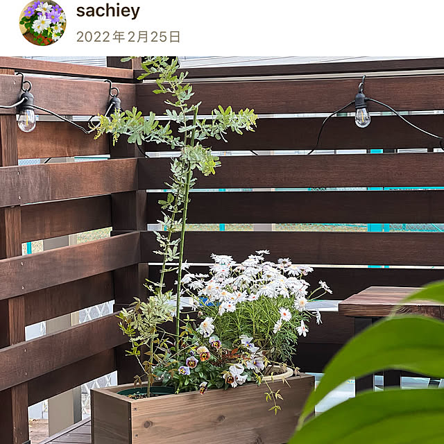 sachieyさんの部屋