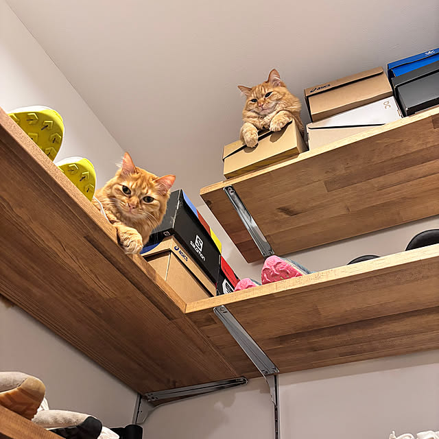 nattsumiさんの部屋