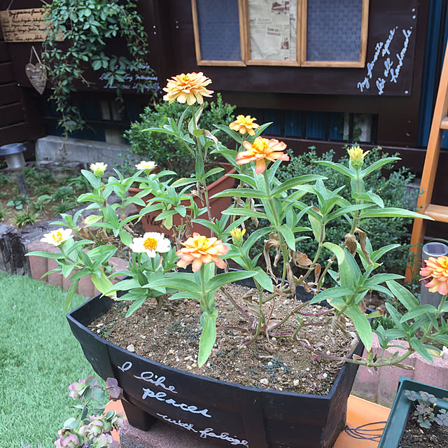 yokochinさんの実例写真