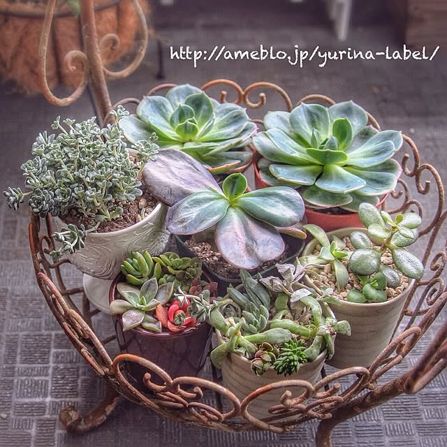 Yurinaさんの実例写真