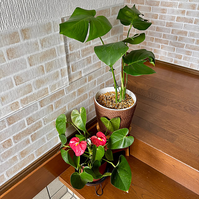 3setai_gurashiさんの部屋
