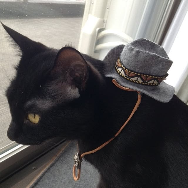 akarichanさんの実例写真