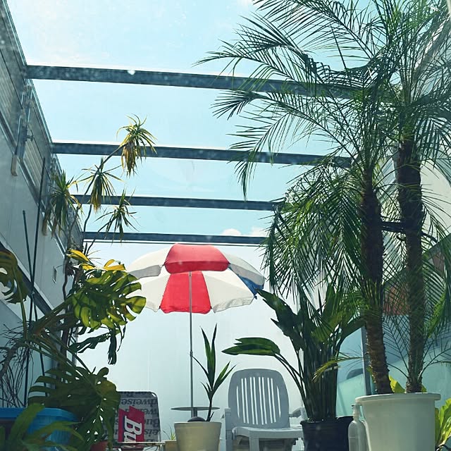 DAICHIさんの実例写真