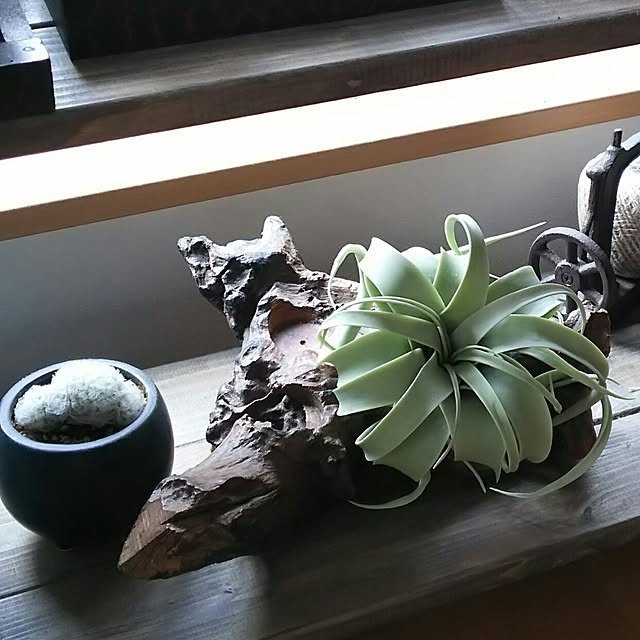 valley-of-the-bearさんの実例写真