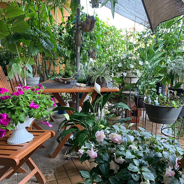 Aqettyさんの部屋