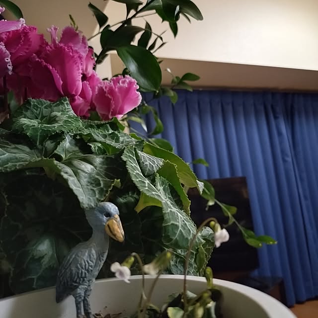 NOAHさんの部屋