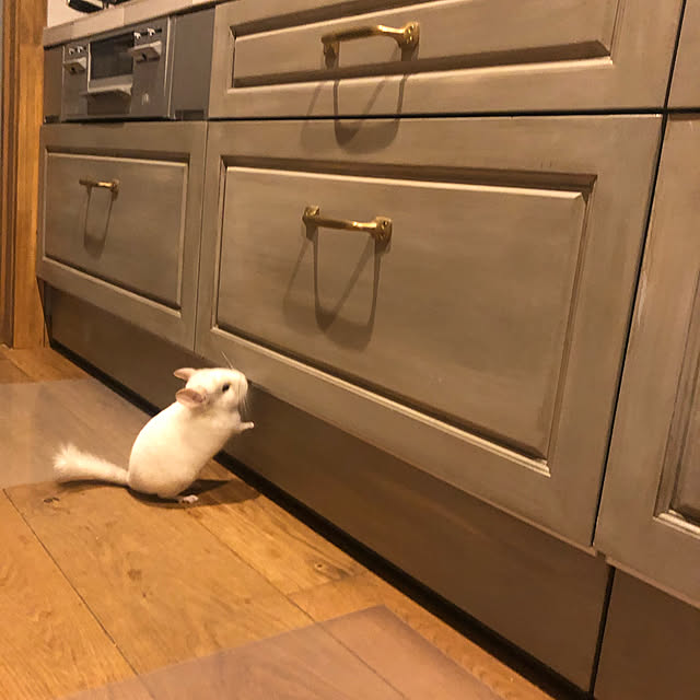 bambiさんの実例写真