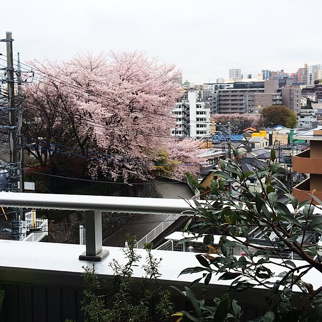 a2500さんの実例写真