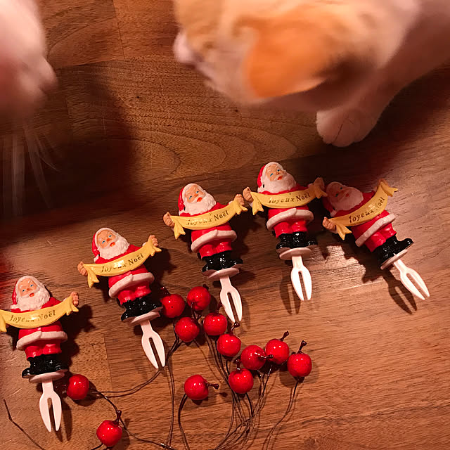 sakurasakuさんの実例写真