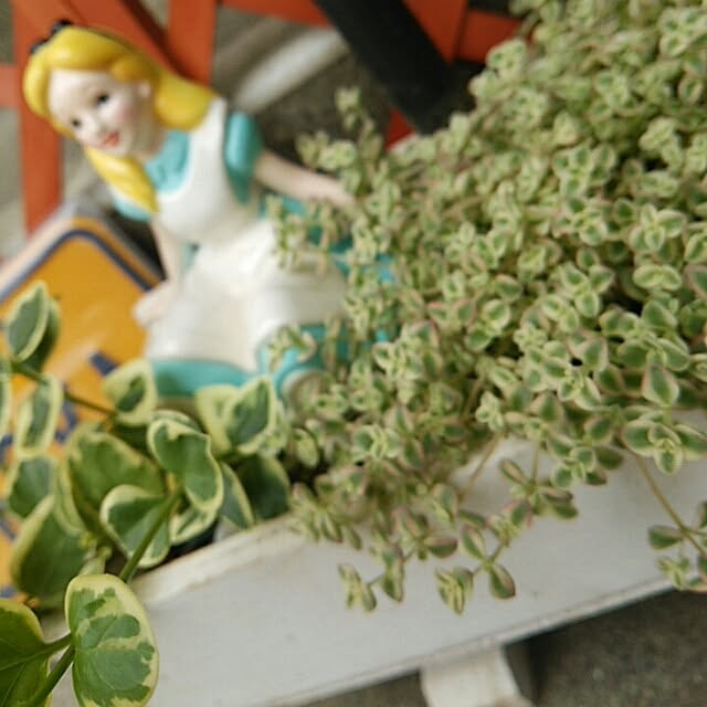 Chomeakiさんの実例写真