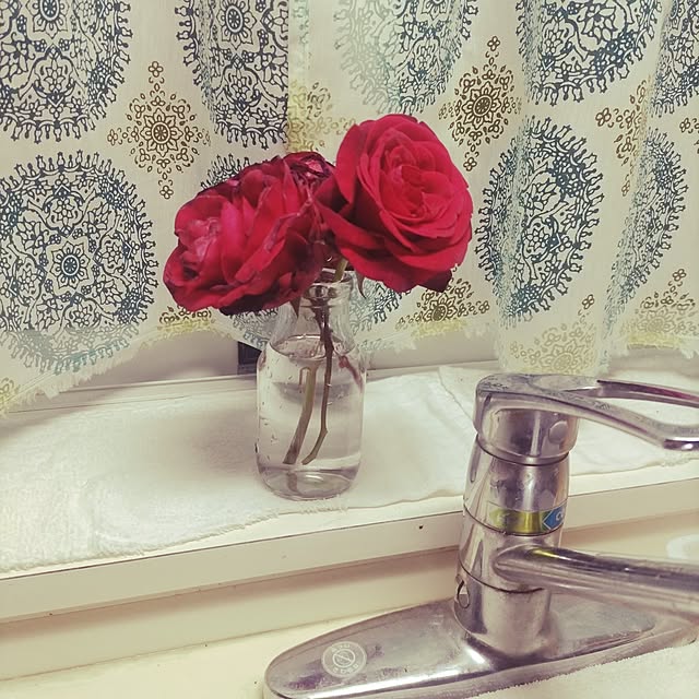 キッチン/薔薇/窓辺のインテリア/ばらの花/切り花...などのインテリア実例 - 2024-05-07 23:05:17