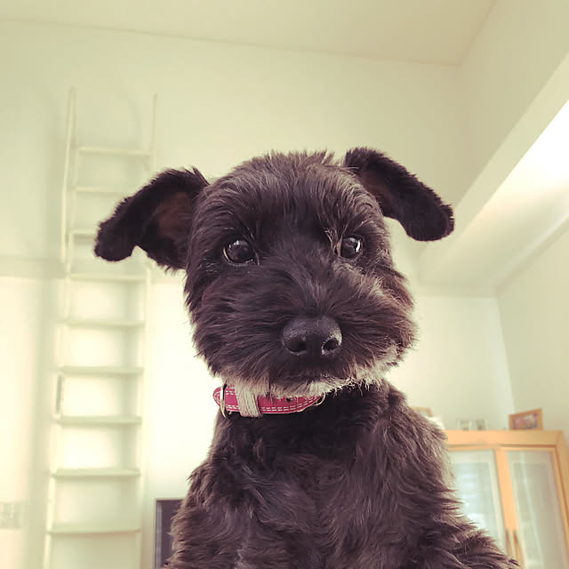 tsujihiroさんの実例写真