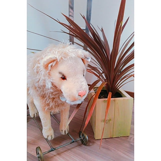 mementoさんの実例写真