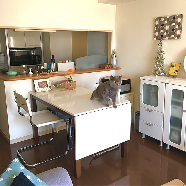 kittyさんの実例写真