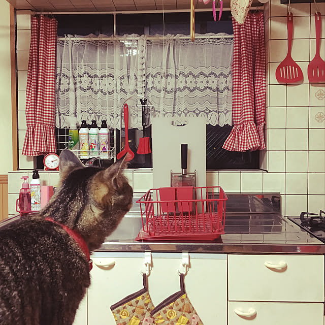 hime.さんの実例写真