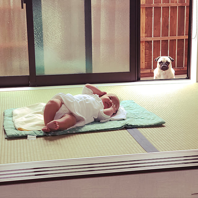 amepuliさんの実例写真